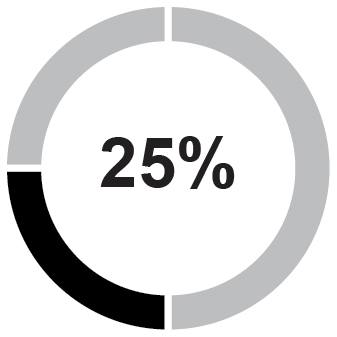 pie_stockoption25.jpg